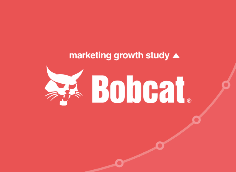 Bobcat-study-2