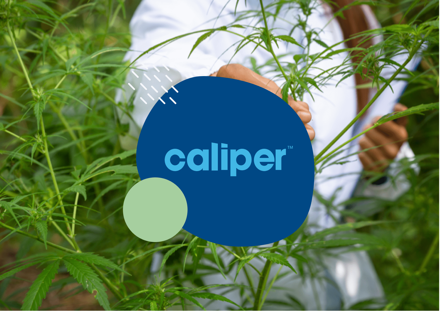 Caliper Health Website