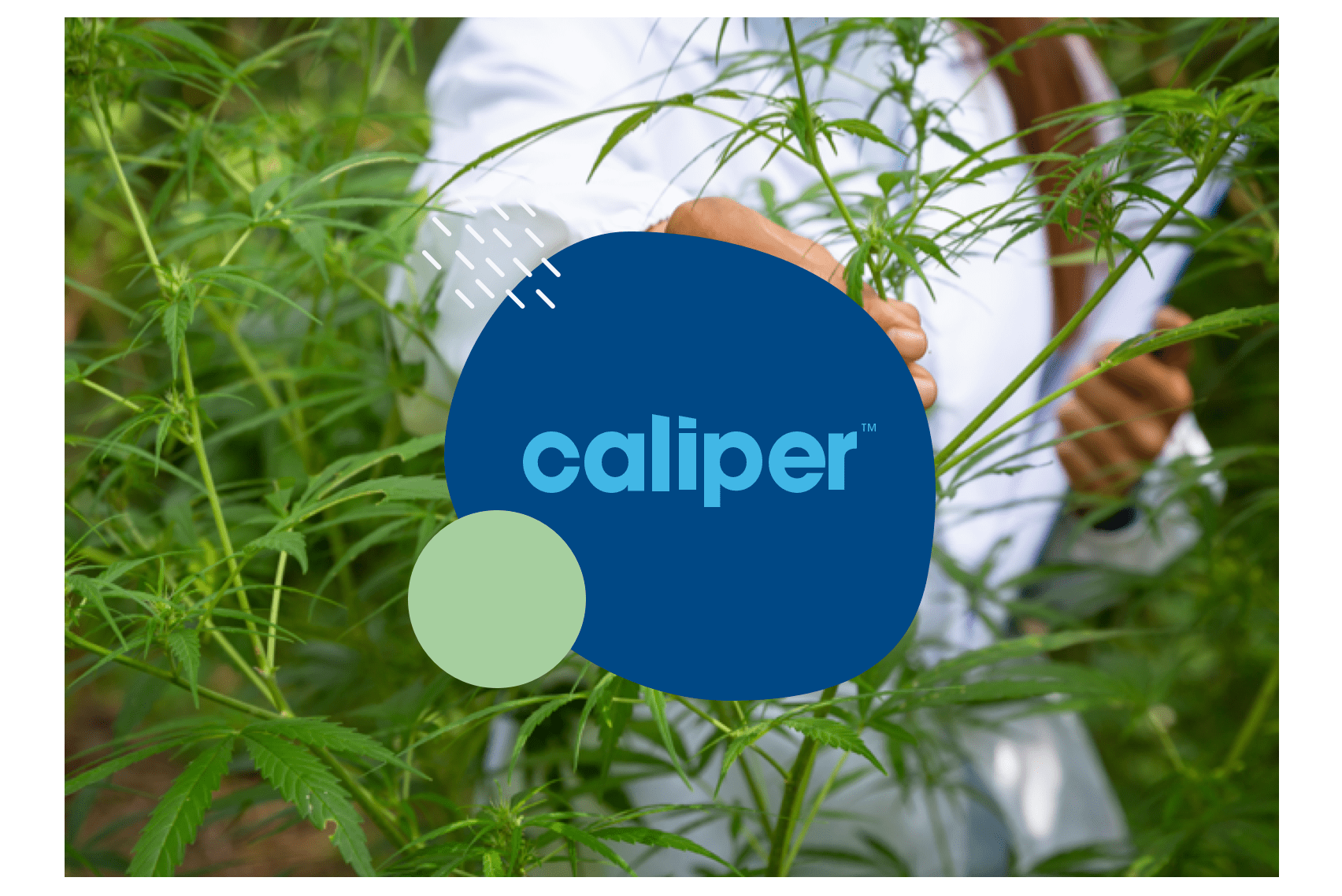 Caliper Health Website