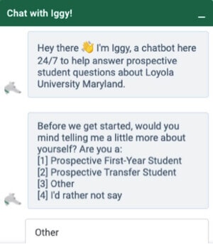 Higher Education Website Design Chatbots: Loyola University