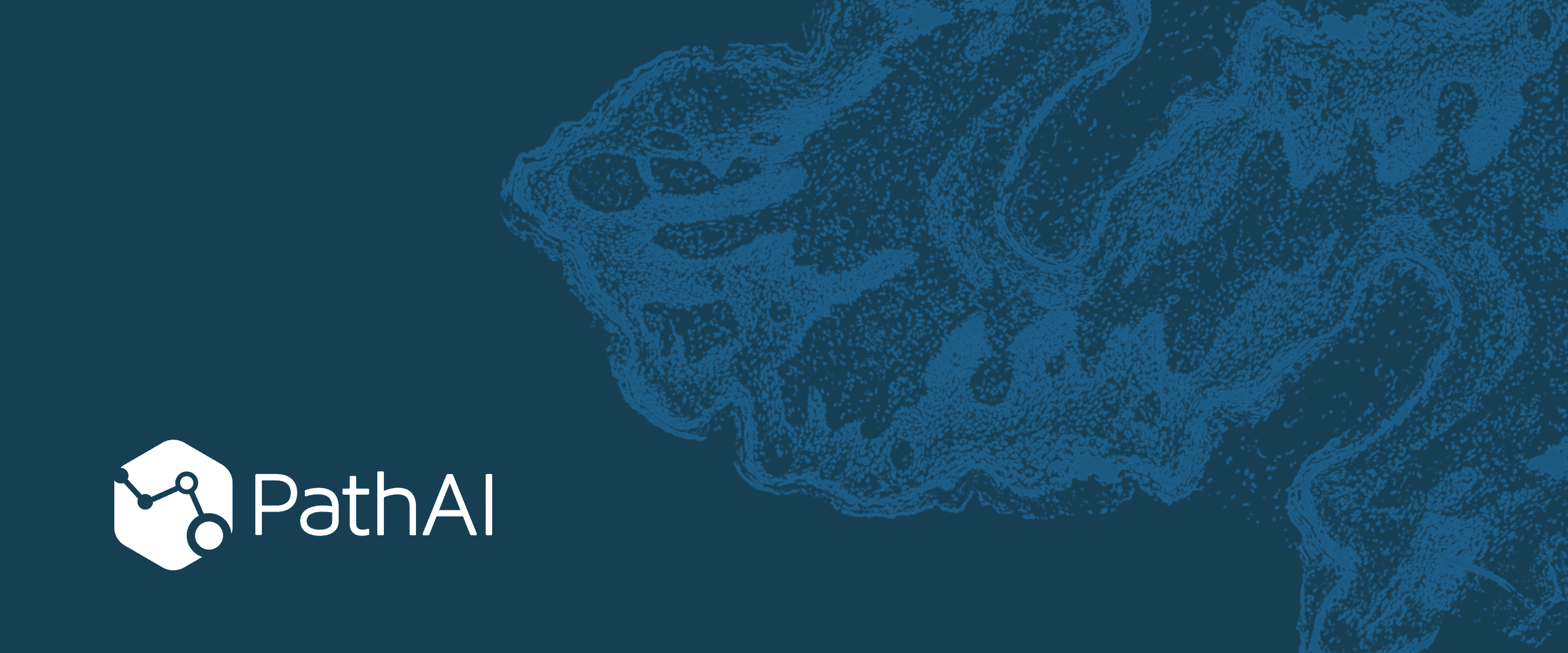Path AI | Website 1 Path AI Project Hero